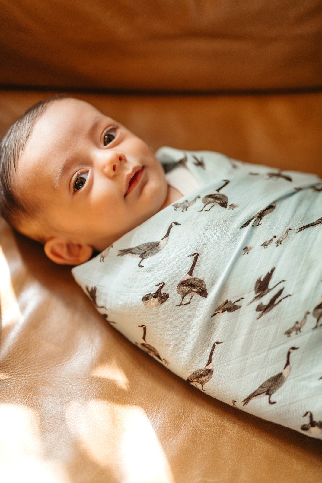 Goose Bamboo Swaddle