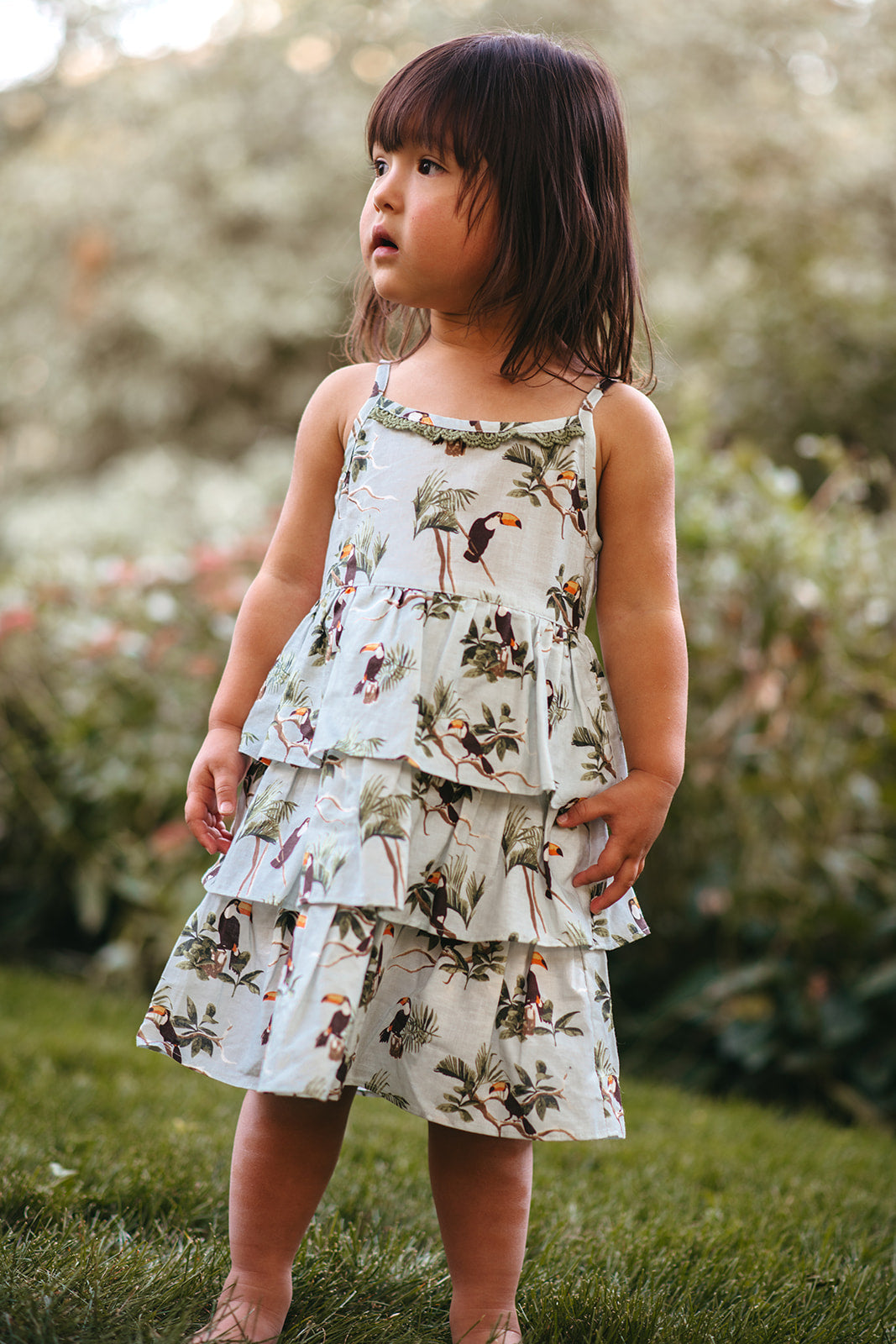 Blue Sky Toucan Linen Tiered Dress