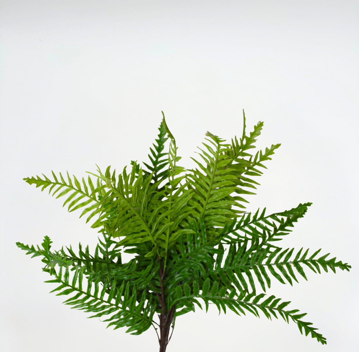 Real Touch Artificial Boston Fern- Bundle of 4