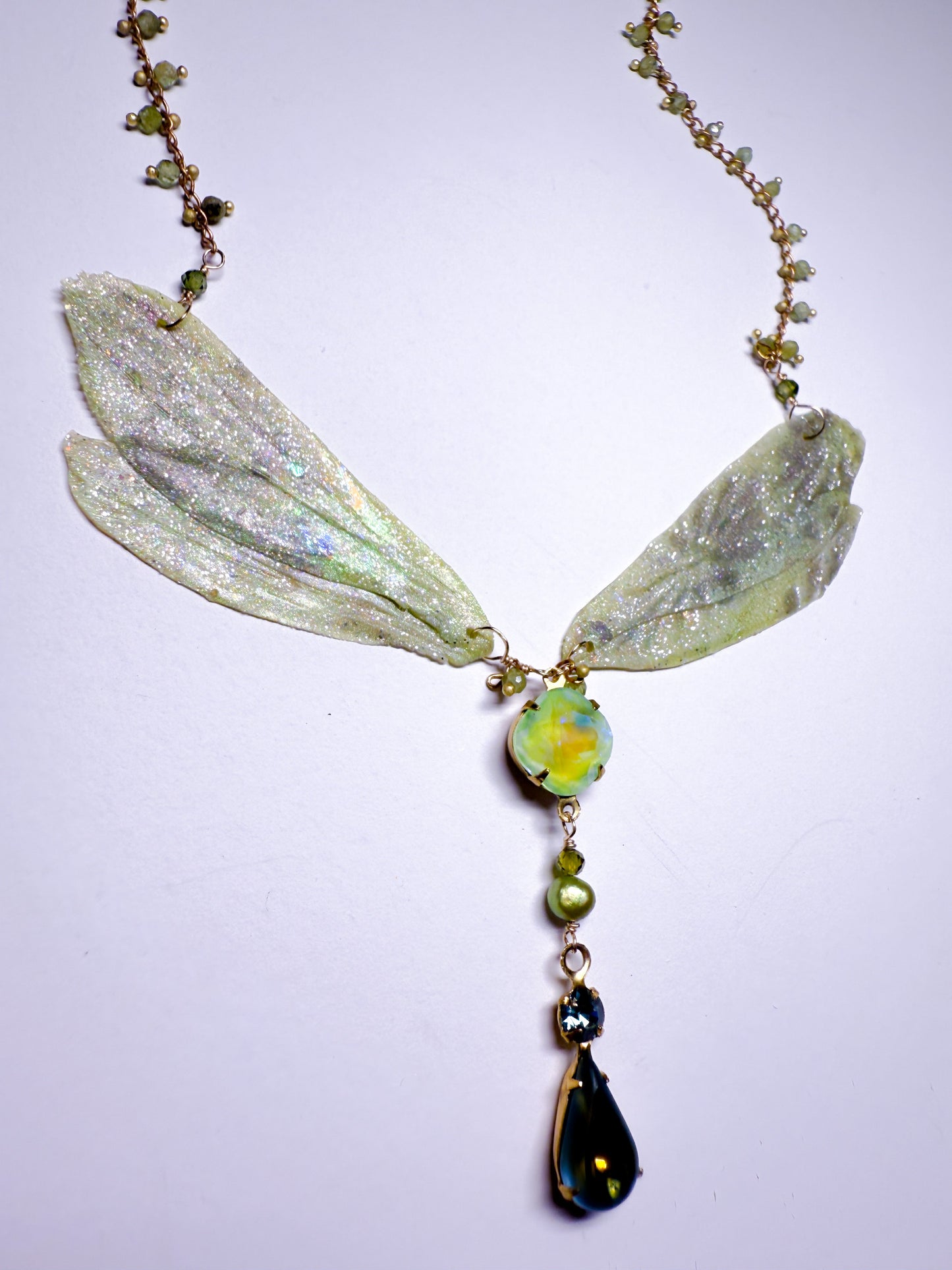 Meadow dragonfly