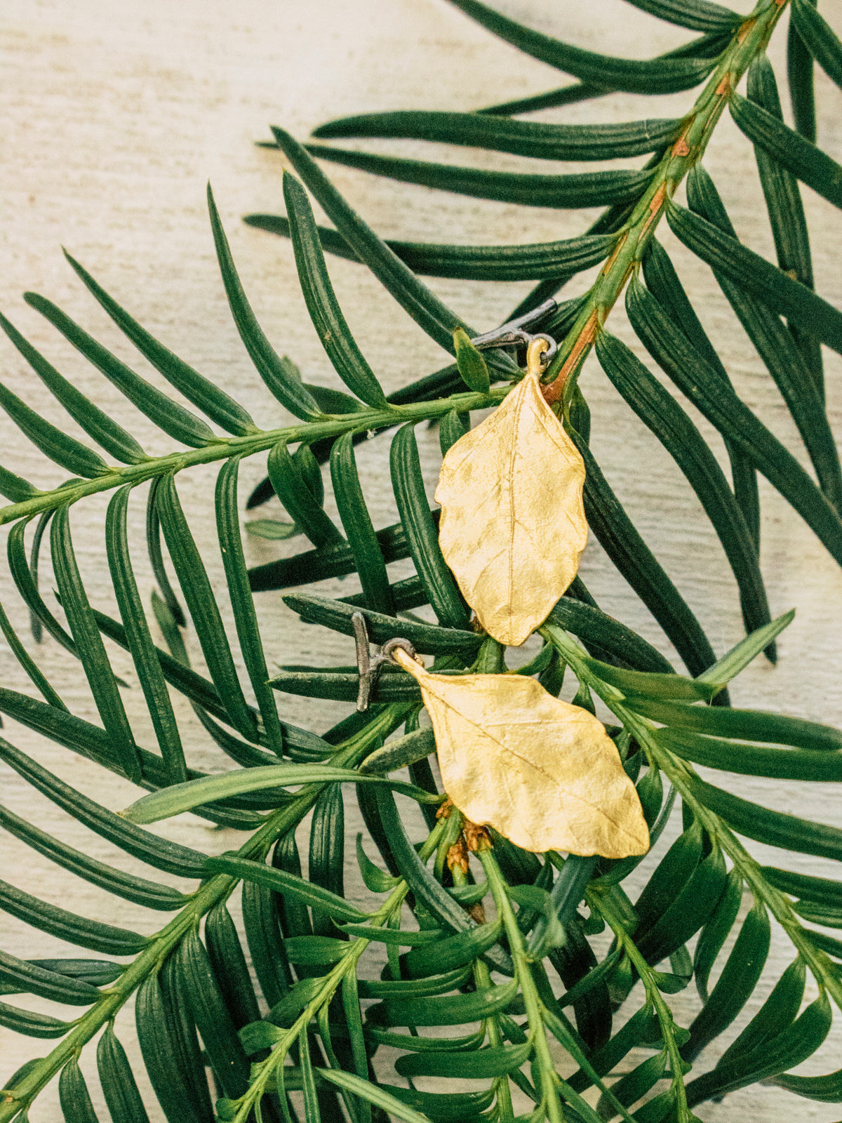 Birch Leaf Post Earrings