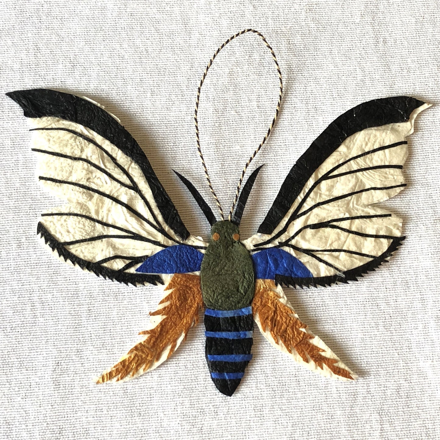Madagascar Silk Moth Ornament - Trichaeta