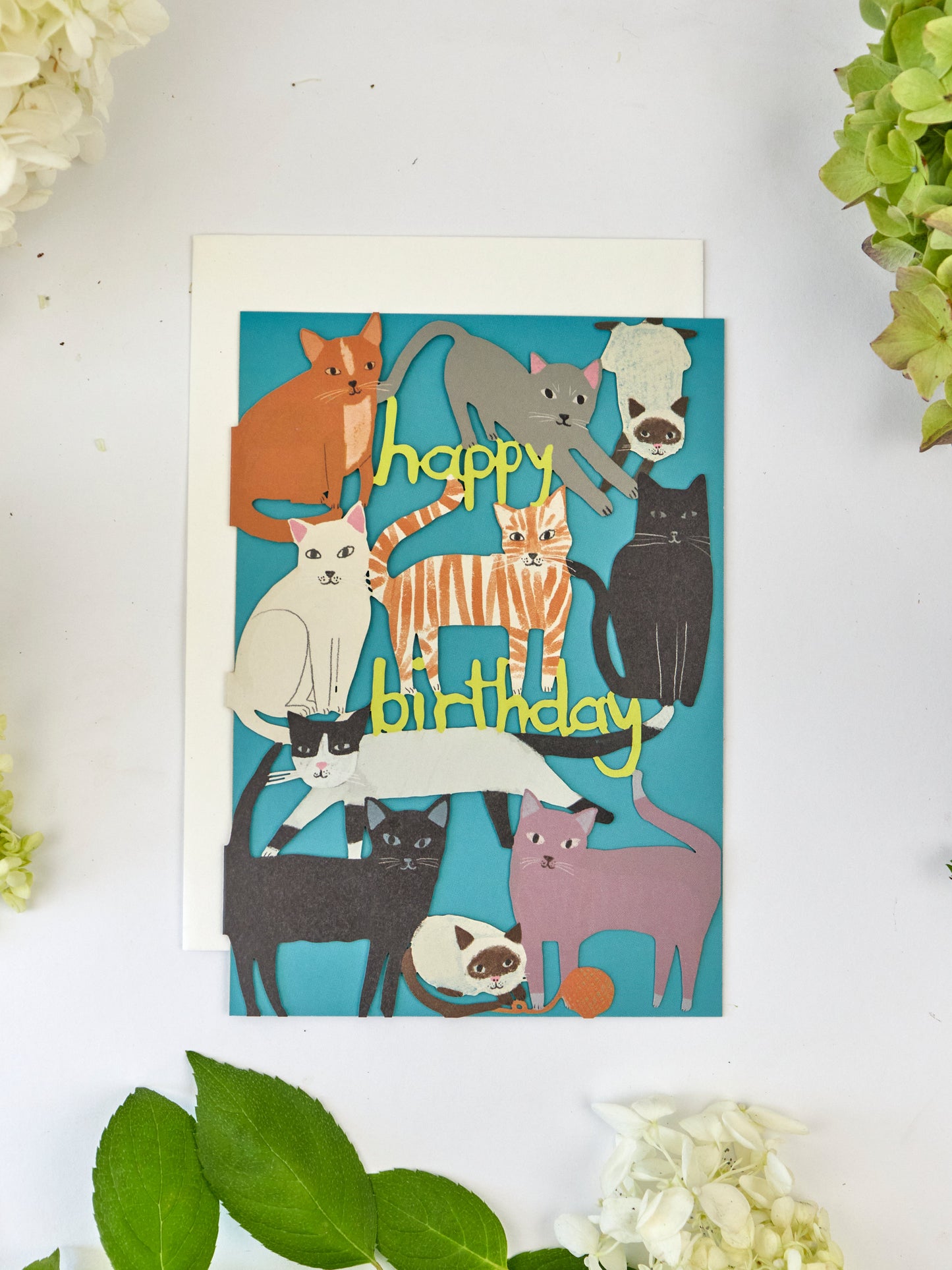 Playful Cats Lasercut Birthday Card
