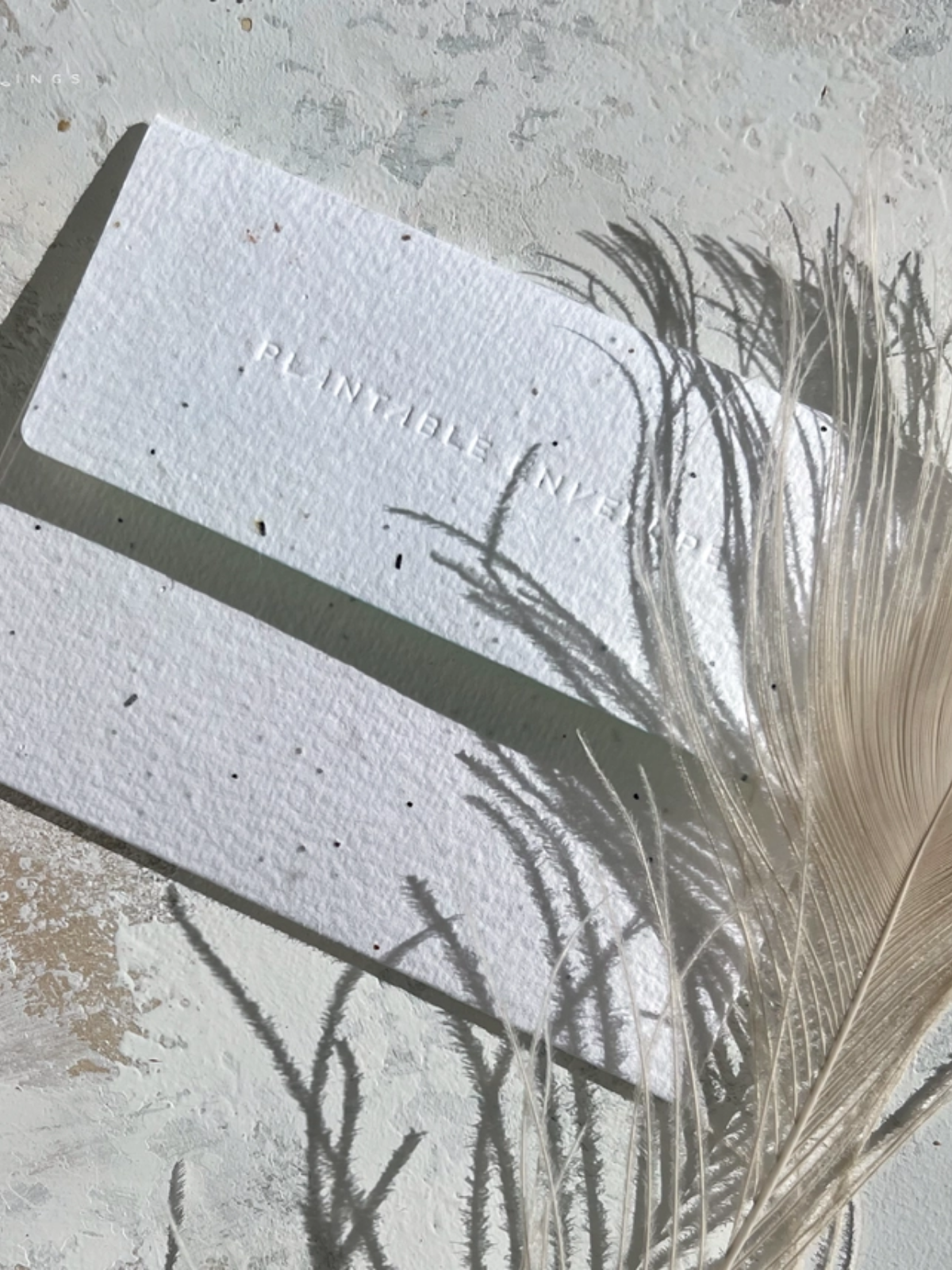 Vase Still Life - Seeded Get Well Card