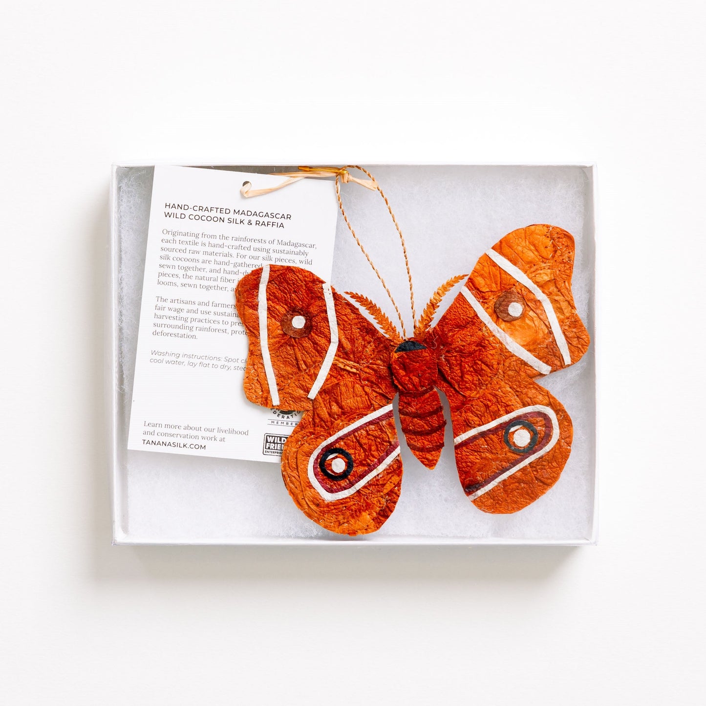 Madagascar Silk Moth Ornament - Tan