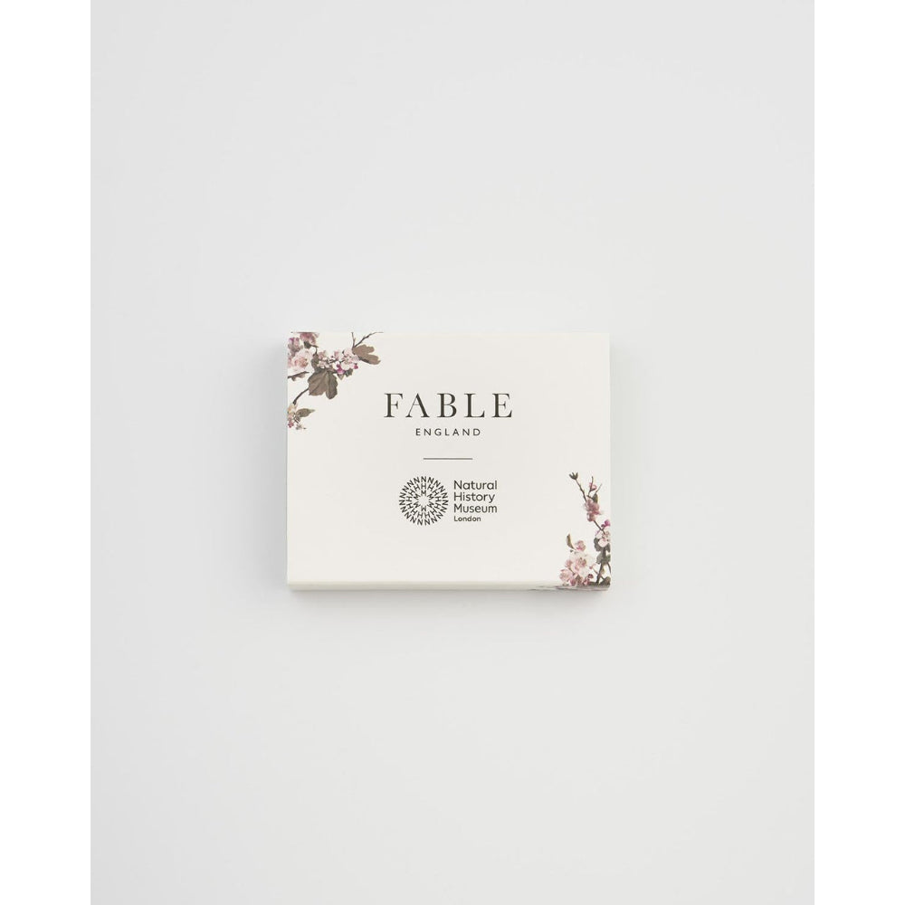 Hummingbird Brooch by Fable England