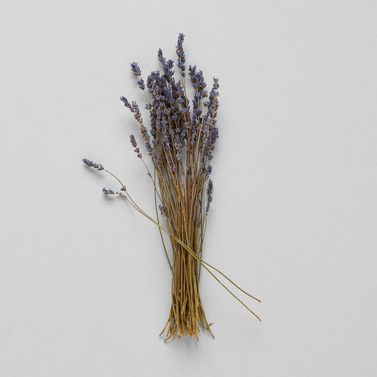 Dried Lavender