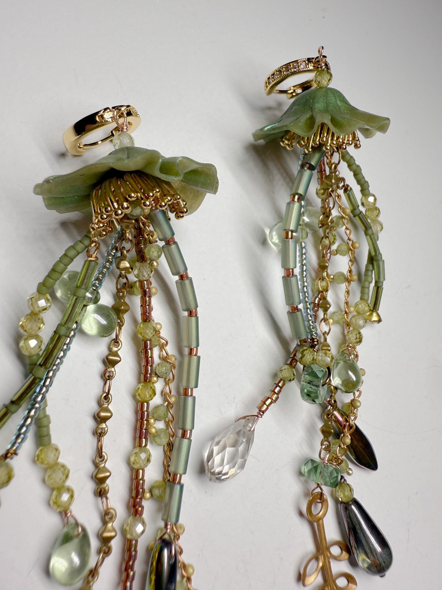 Kelp forest jellies