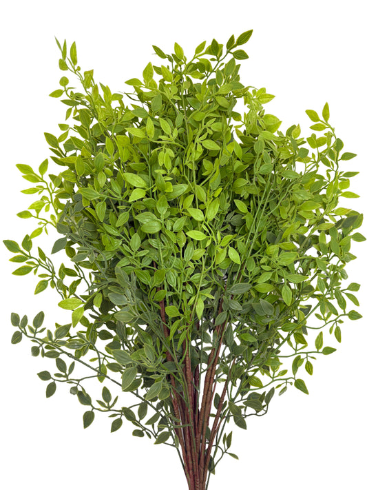 Artificial Italian Ruscus Stems - Bundle of 4