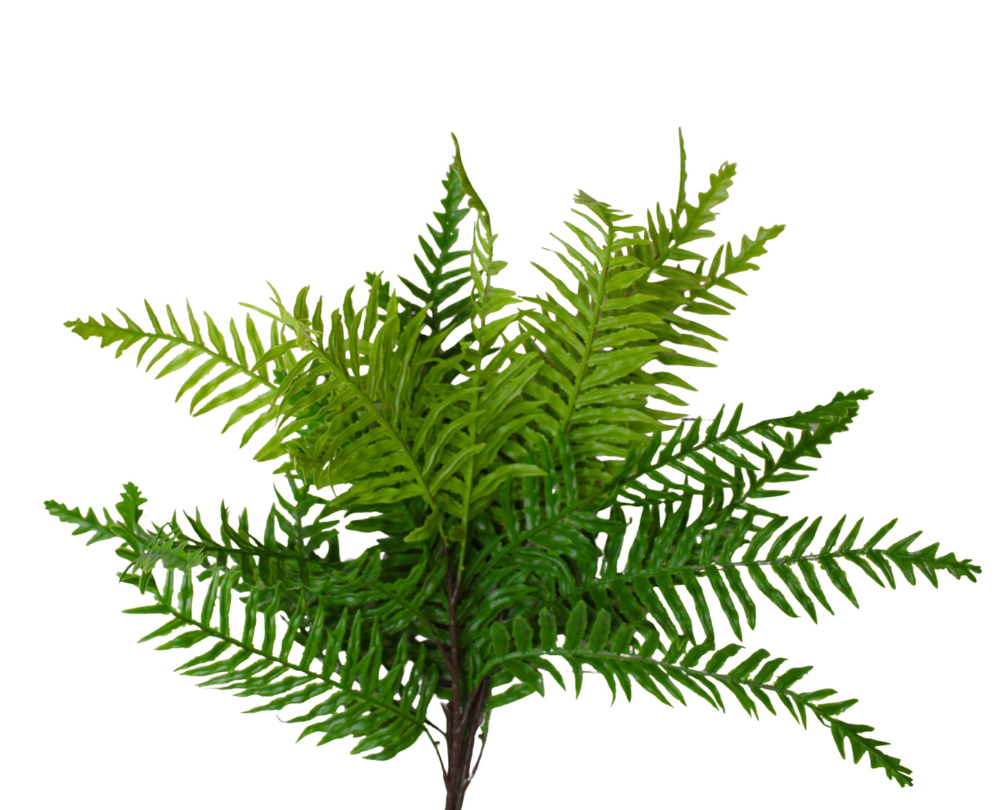 Real Touch Artificial Boston Fern- Bundle of 4