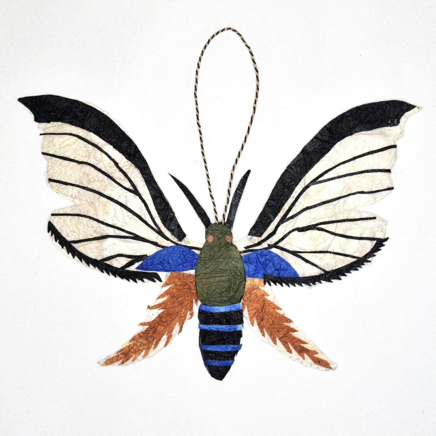 Madagascar Silk Moth Ornament - Trichaeta