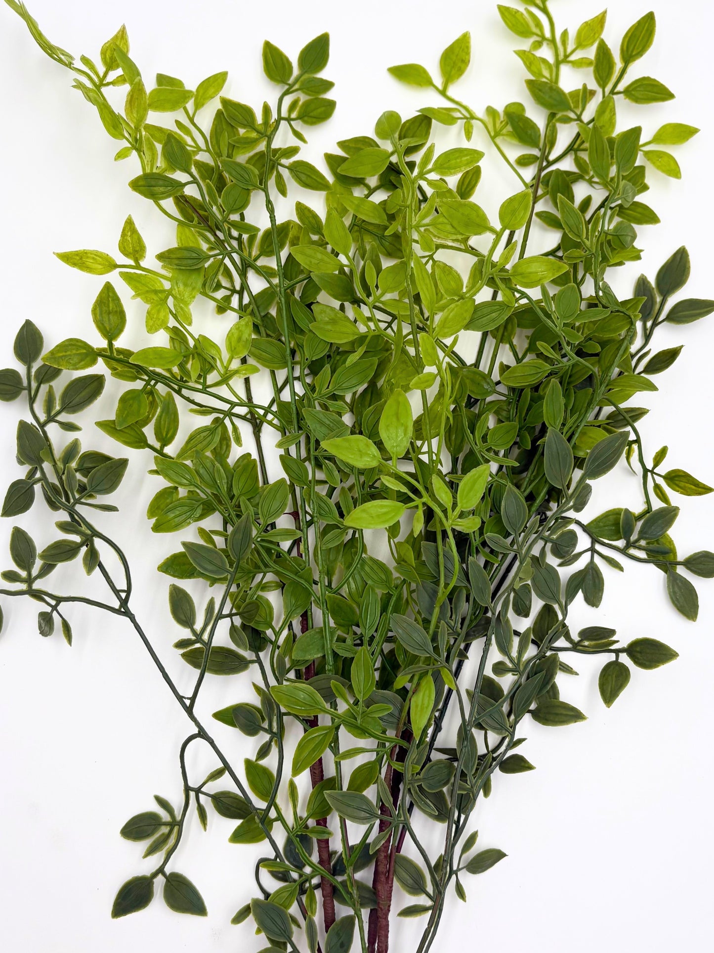 Artificial Italian Ruscus Stems - Bundle of 4