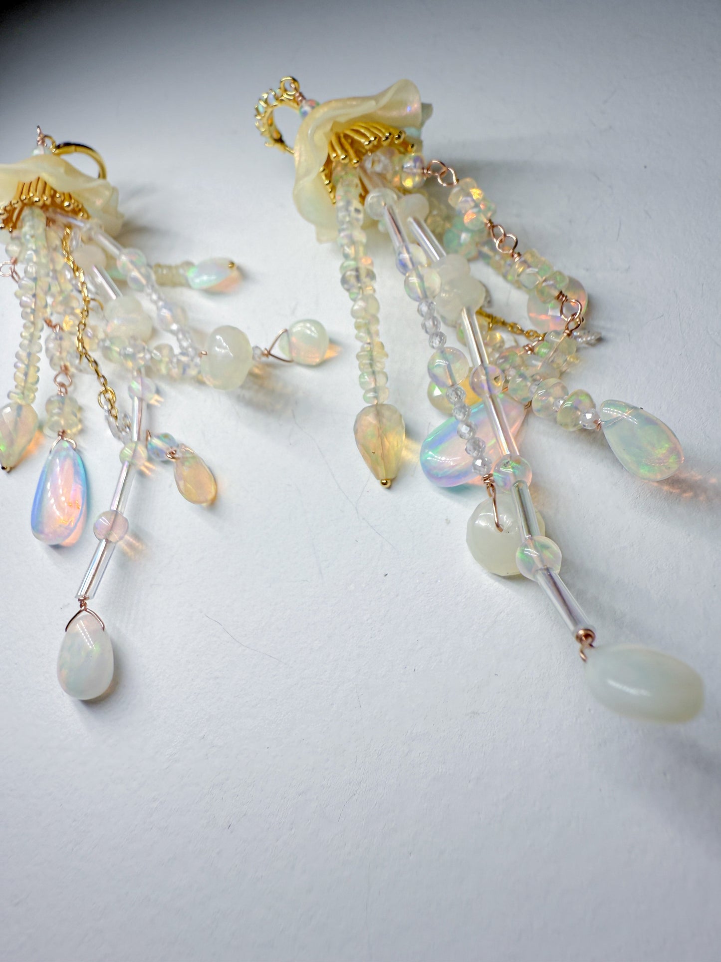 All opal jellies
