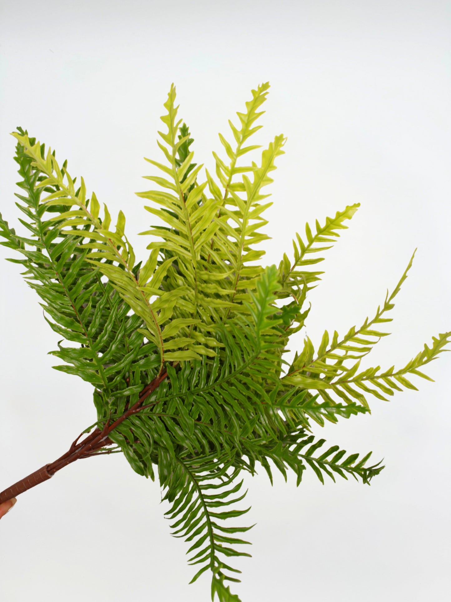 Real Touch Artificial Boston Fern- Bundle of 4
