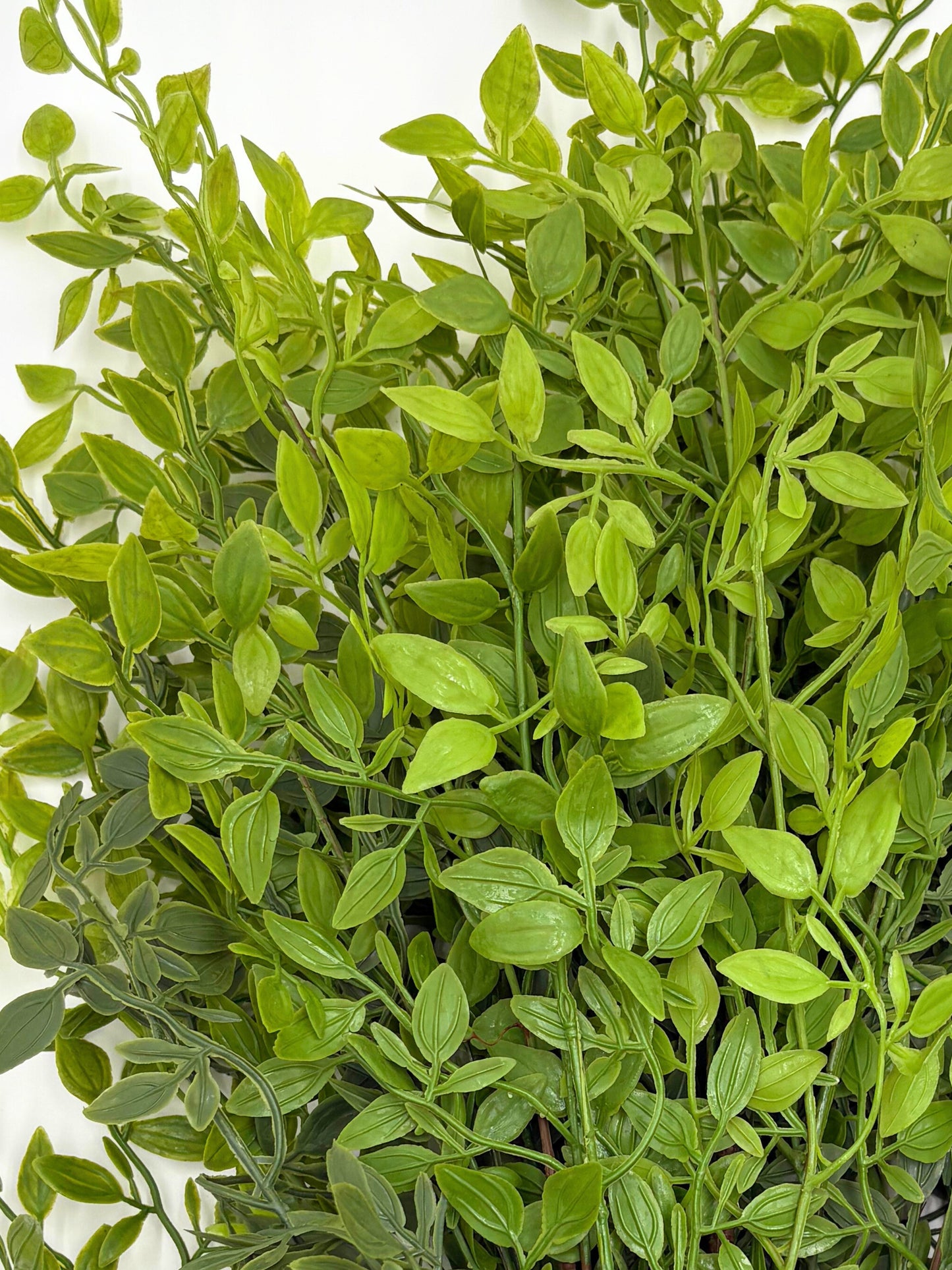 Artificial Italian Ruscus Stems - Bundle of 4