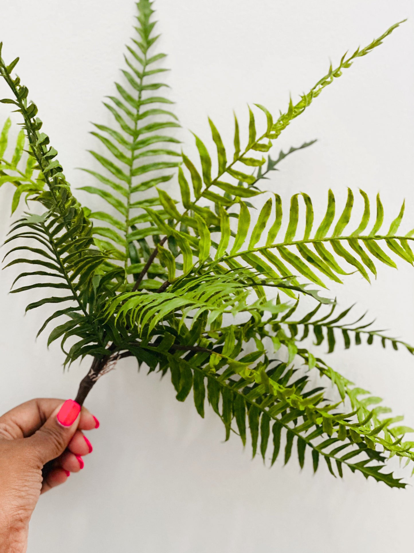 Real Touch Artificial Boston Fern- Bundle of 4