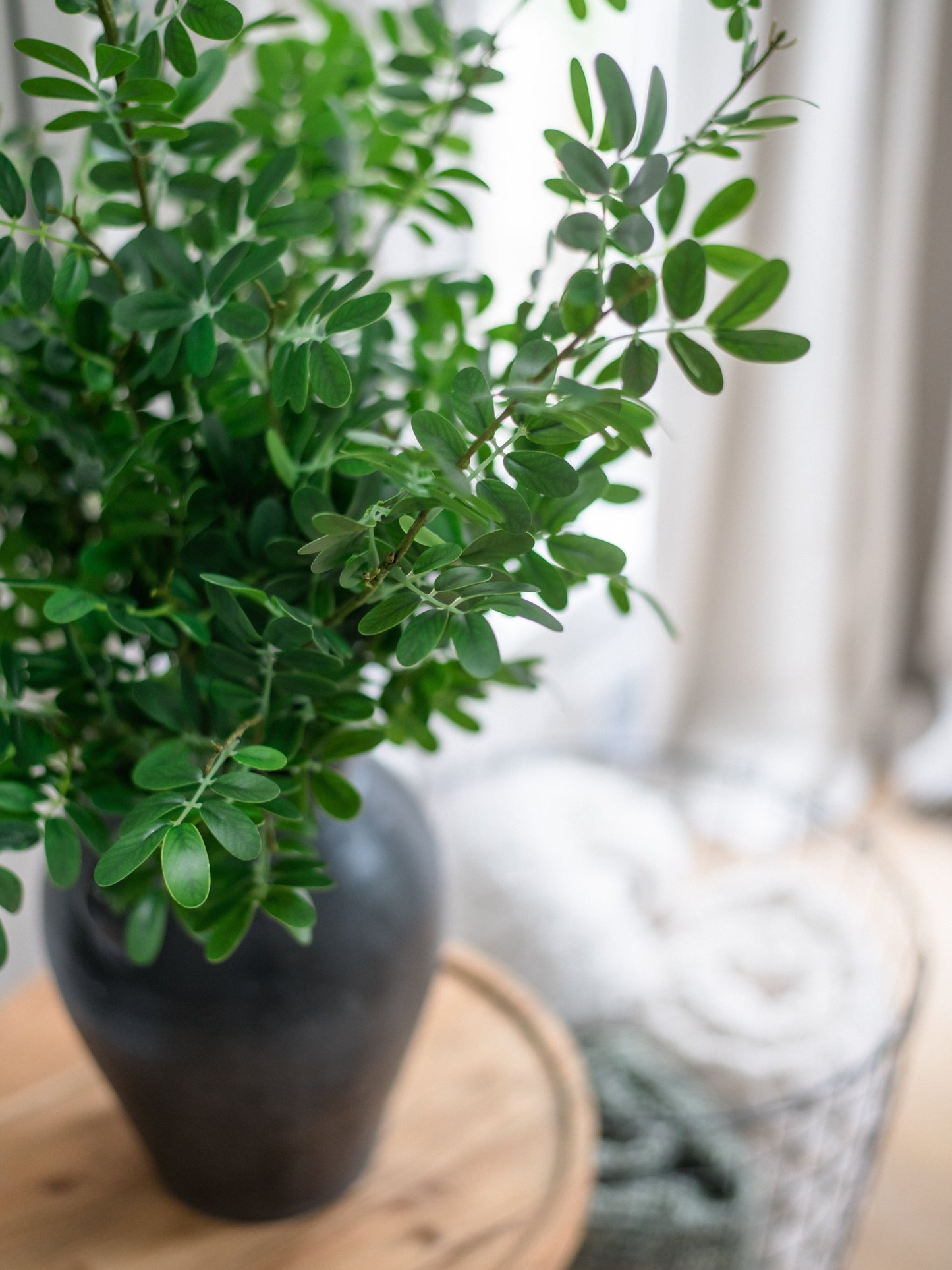 Artificial Boxwood Stems - Bundle of 4