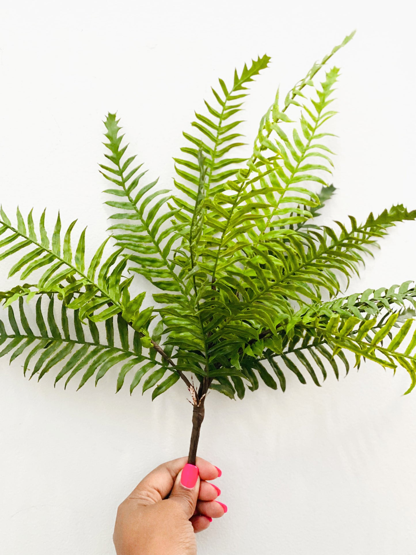 Real Touch Artificial Boston Fern- Bundle of 4