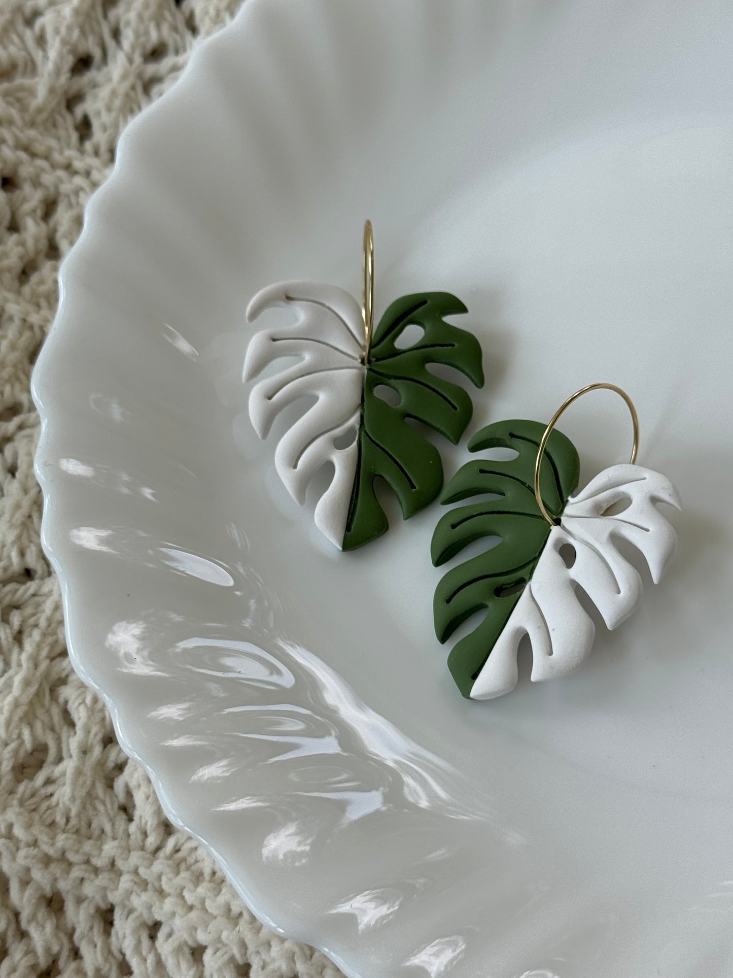 Variegated Monstera