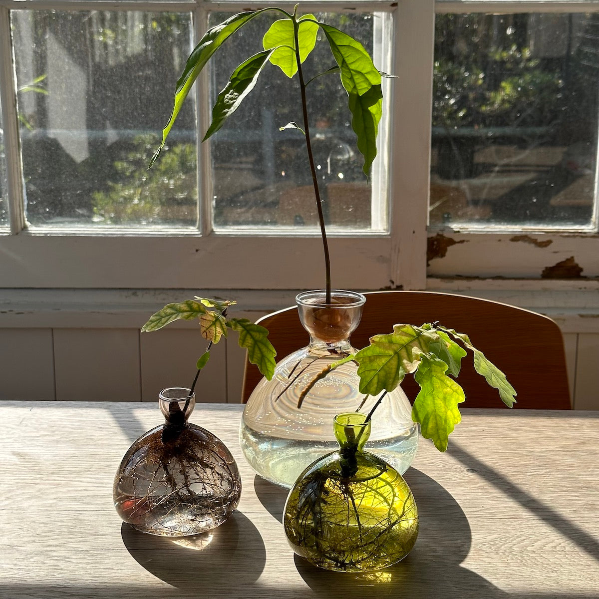 Acorn Vase
