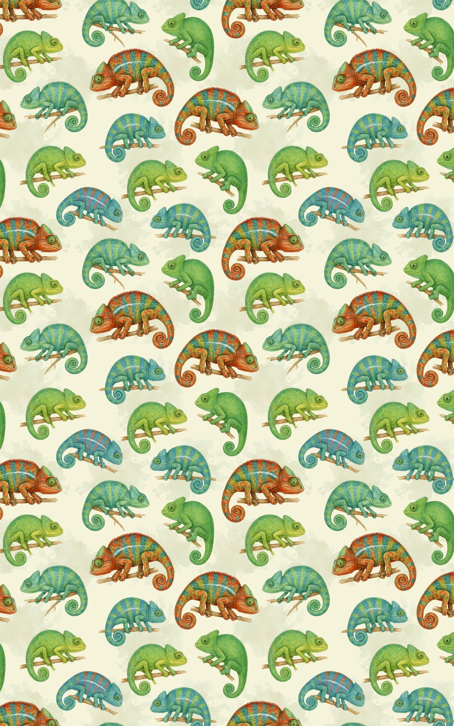 Chameleon Celebration