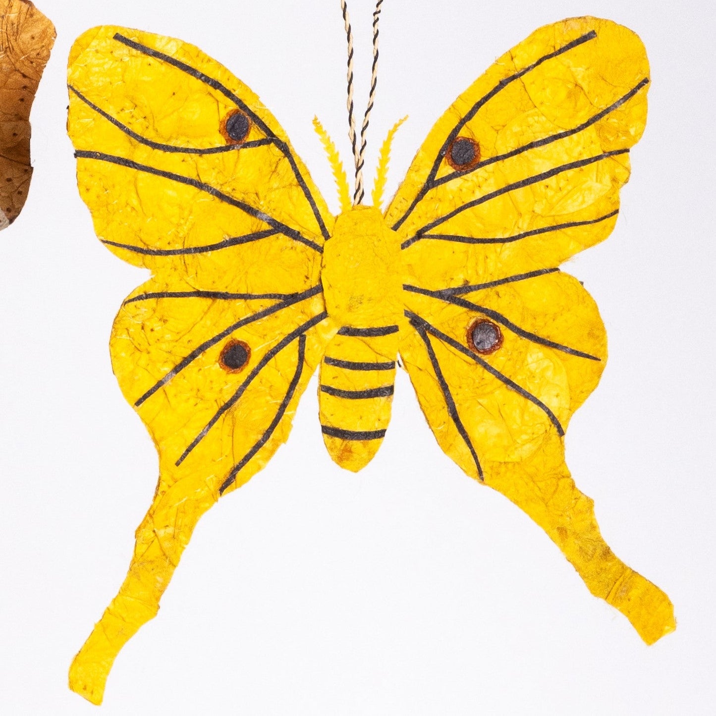 Madagascar Silk Moth Ornament - Yellow