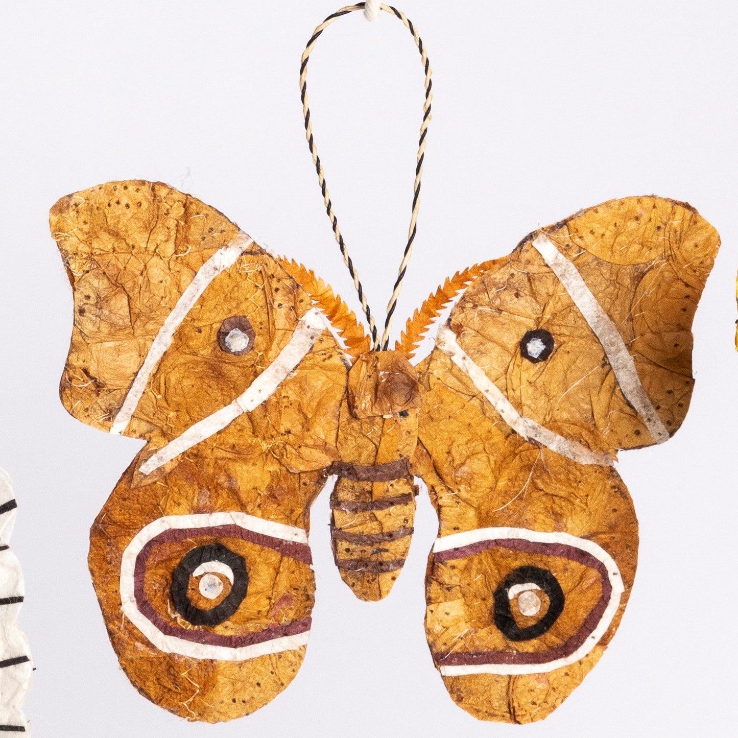Madagascar Silk Moth Ornament - Tan