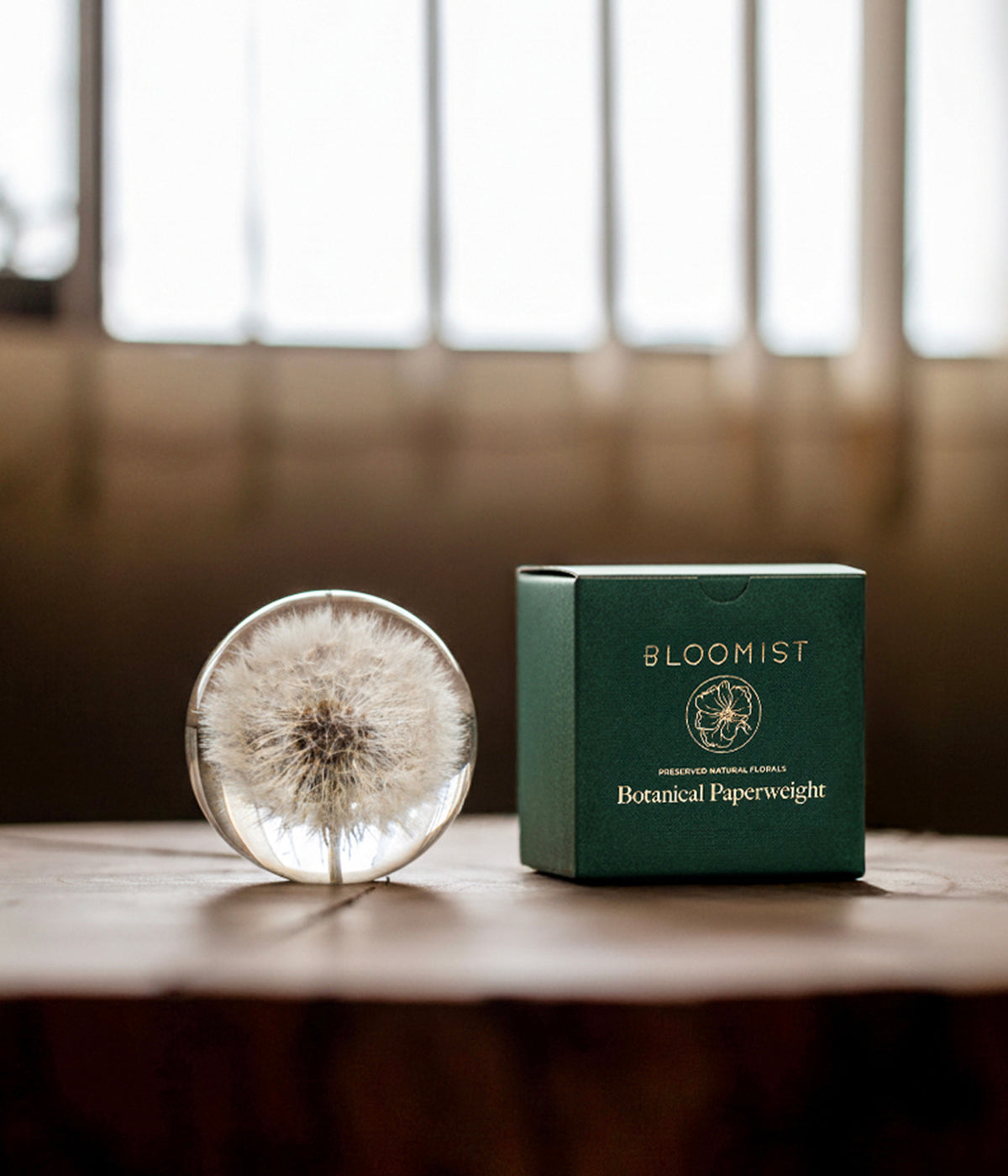Dandelion Botanical Resin Paperweight