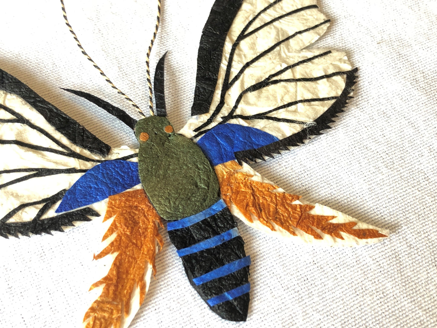 Madagascar Silk Moth Ornament - Trichaeta