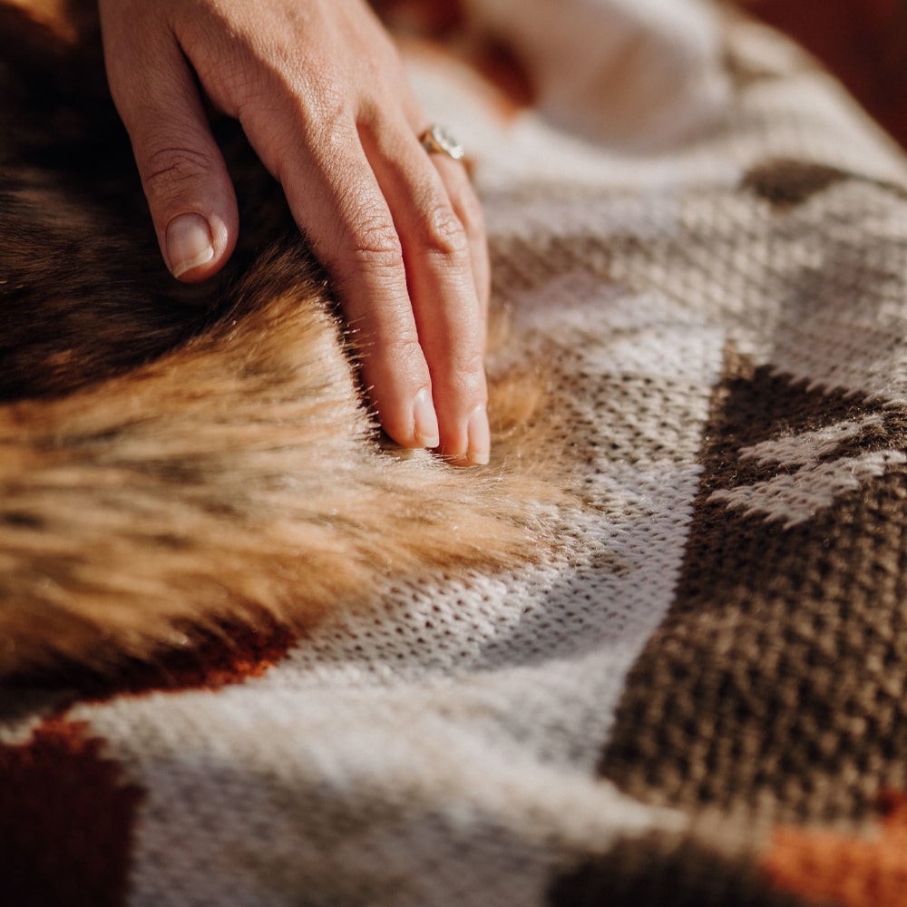 Mohave Faux Fur Knitted Blanket - Muska