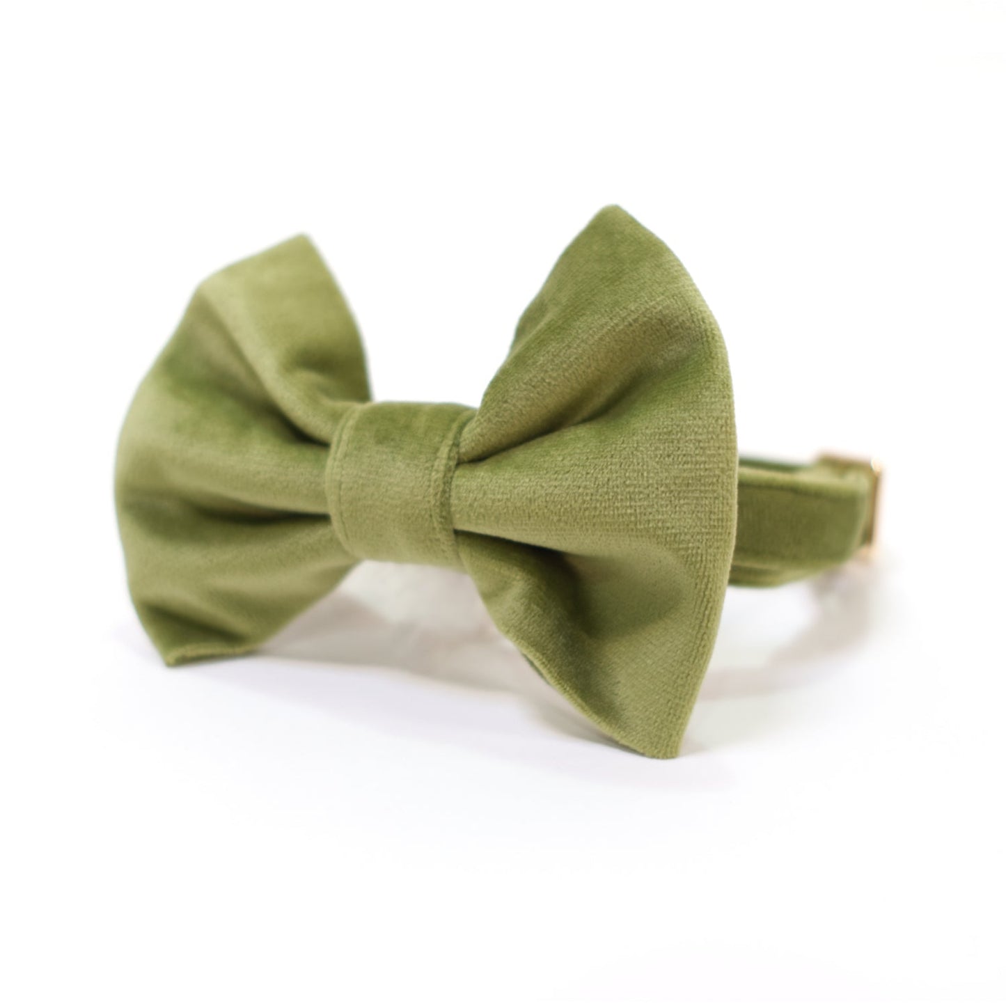 Velvet Meadow Classic Dog Collar + Bow Tie