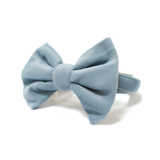 Velvet Misty River Classic Dog Collar + Bow Tie