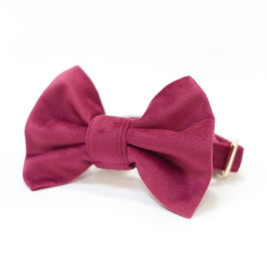 Velvet Mulberry Classic Dog Collar + Bow Tie