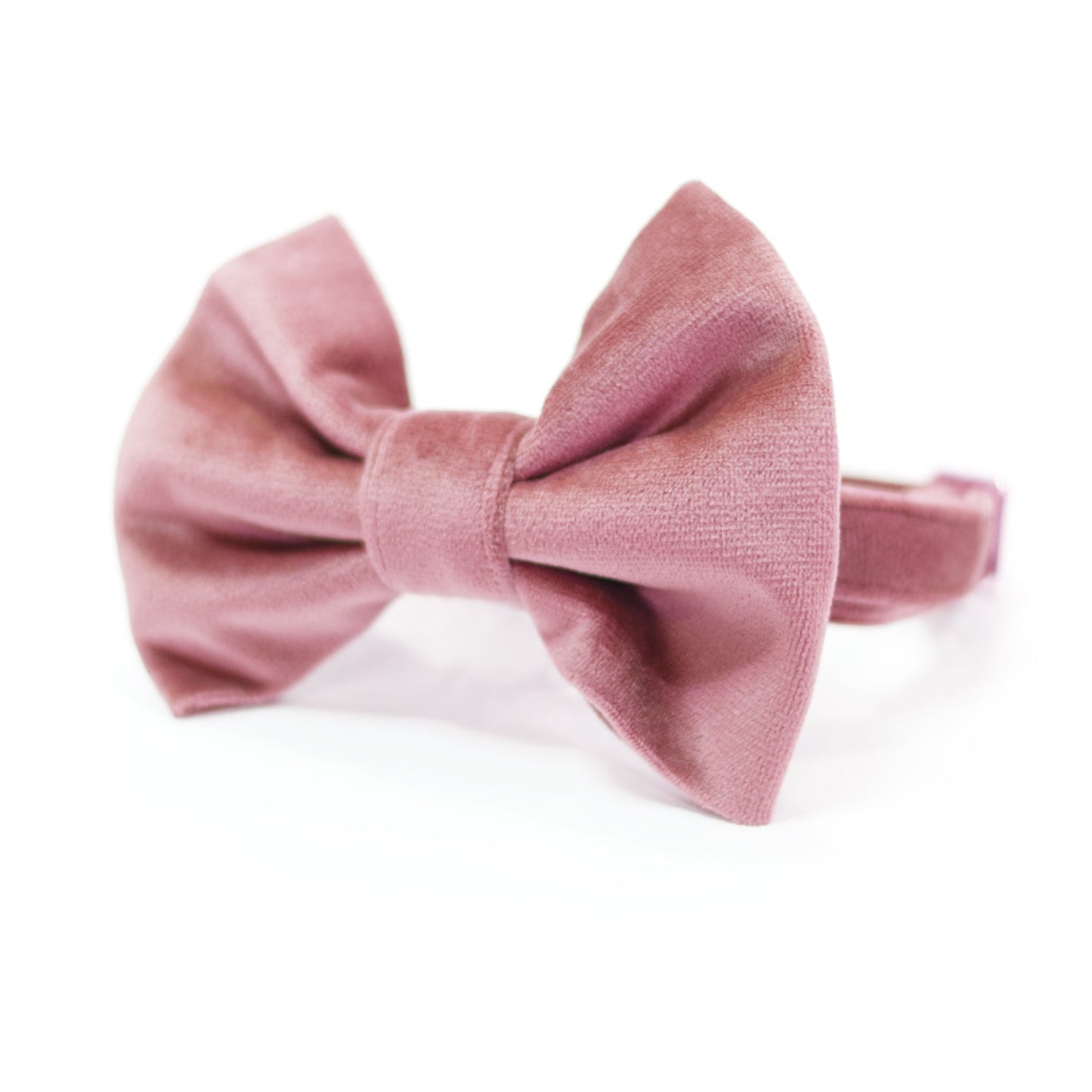 Velvet Rose Blossom Classic Dog Collar + Bow Tie