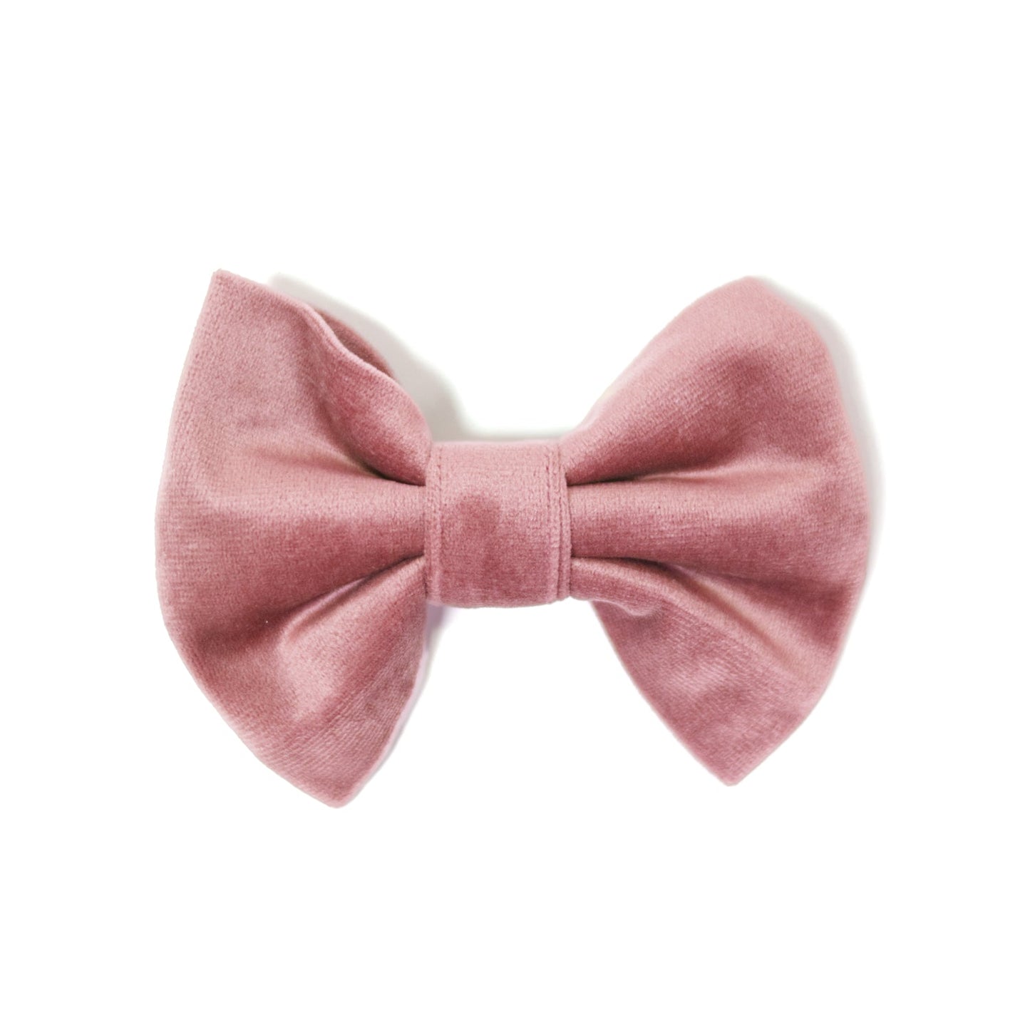 Velvet Rose Blossom Classic Dog Collar + Bow Tie