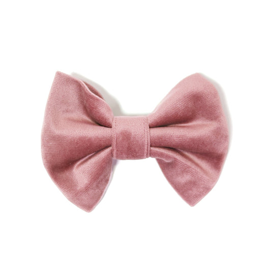 Velvet Rose Blossom Classic Dog Bow Tie