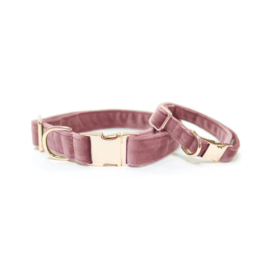 Velvet Rose Blossom Classic Dog Collar