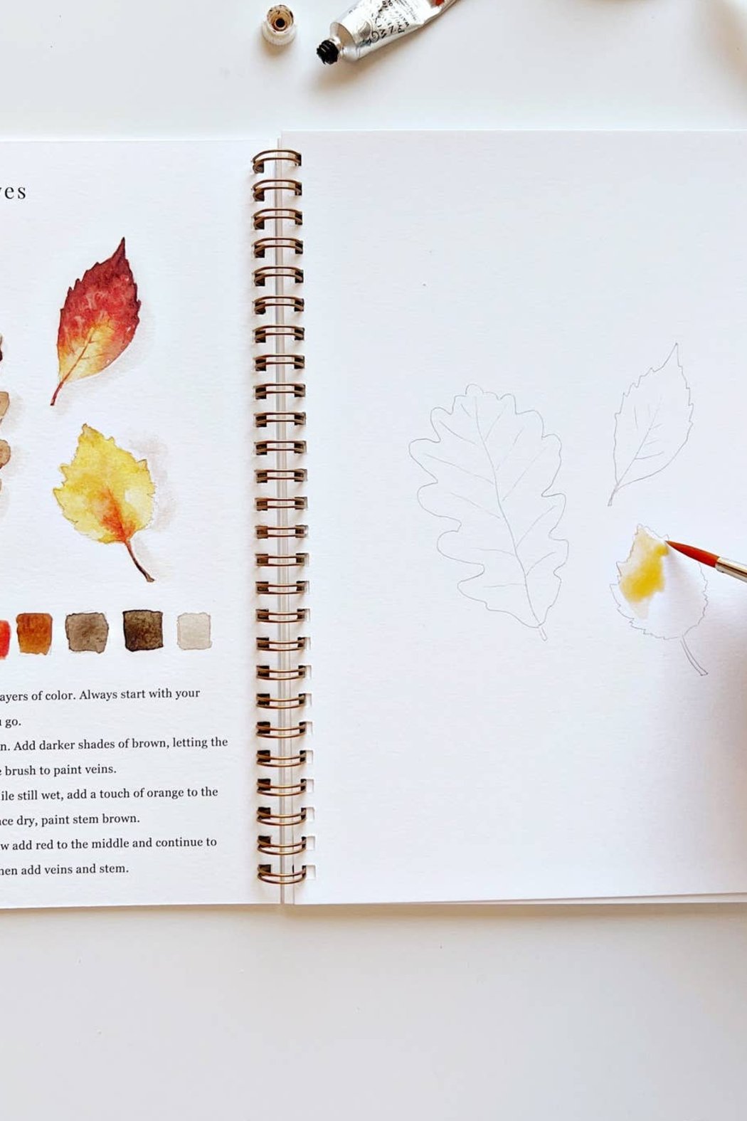 Autumn Watercolor Workbook