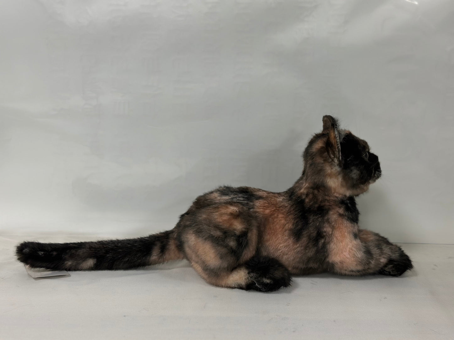 Plush Tortoiseshell Cat Shorthair- Handmade Life-Size Companion & Pet Memorial