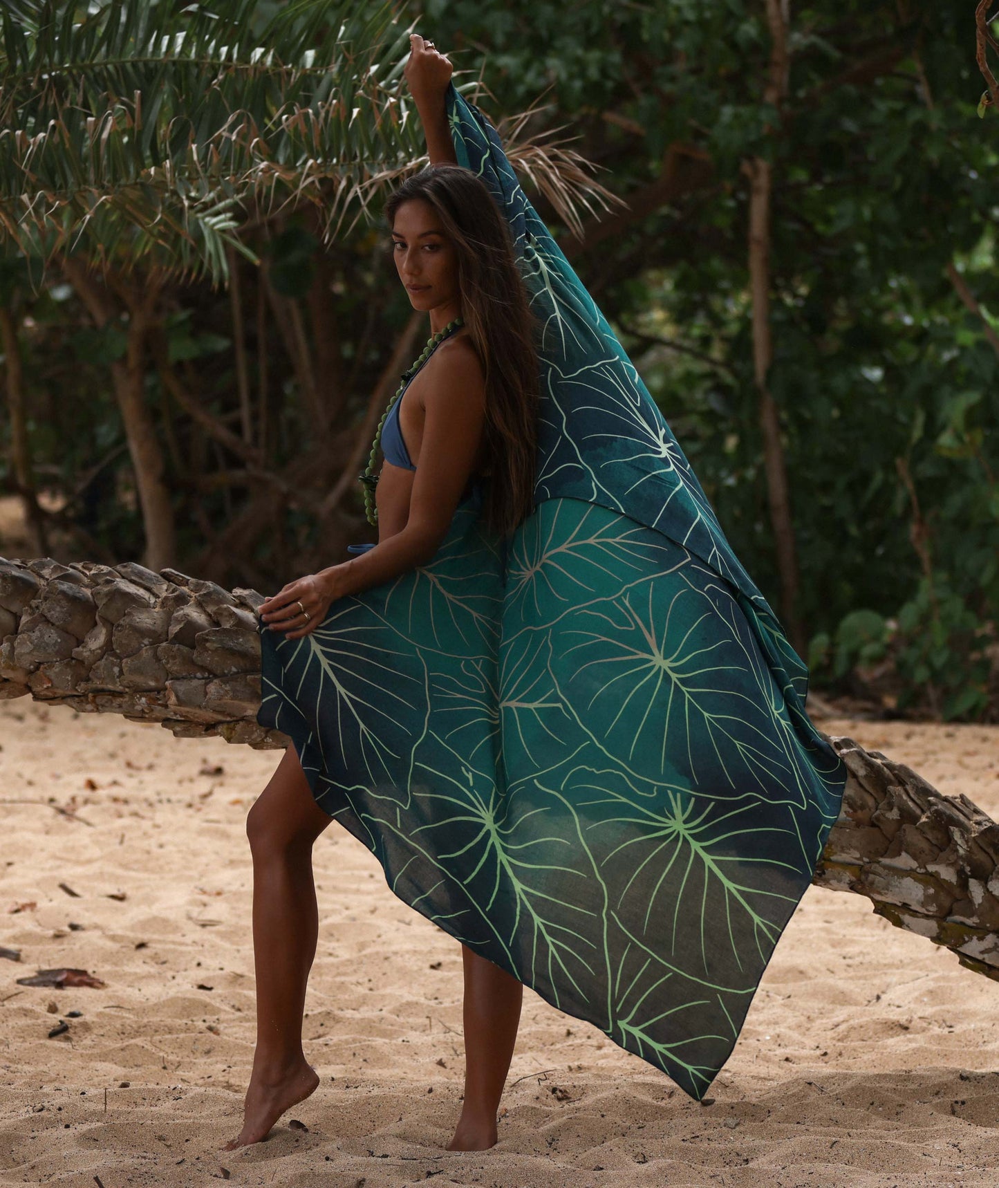 Kalo Pareo - Green