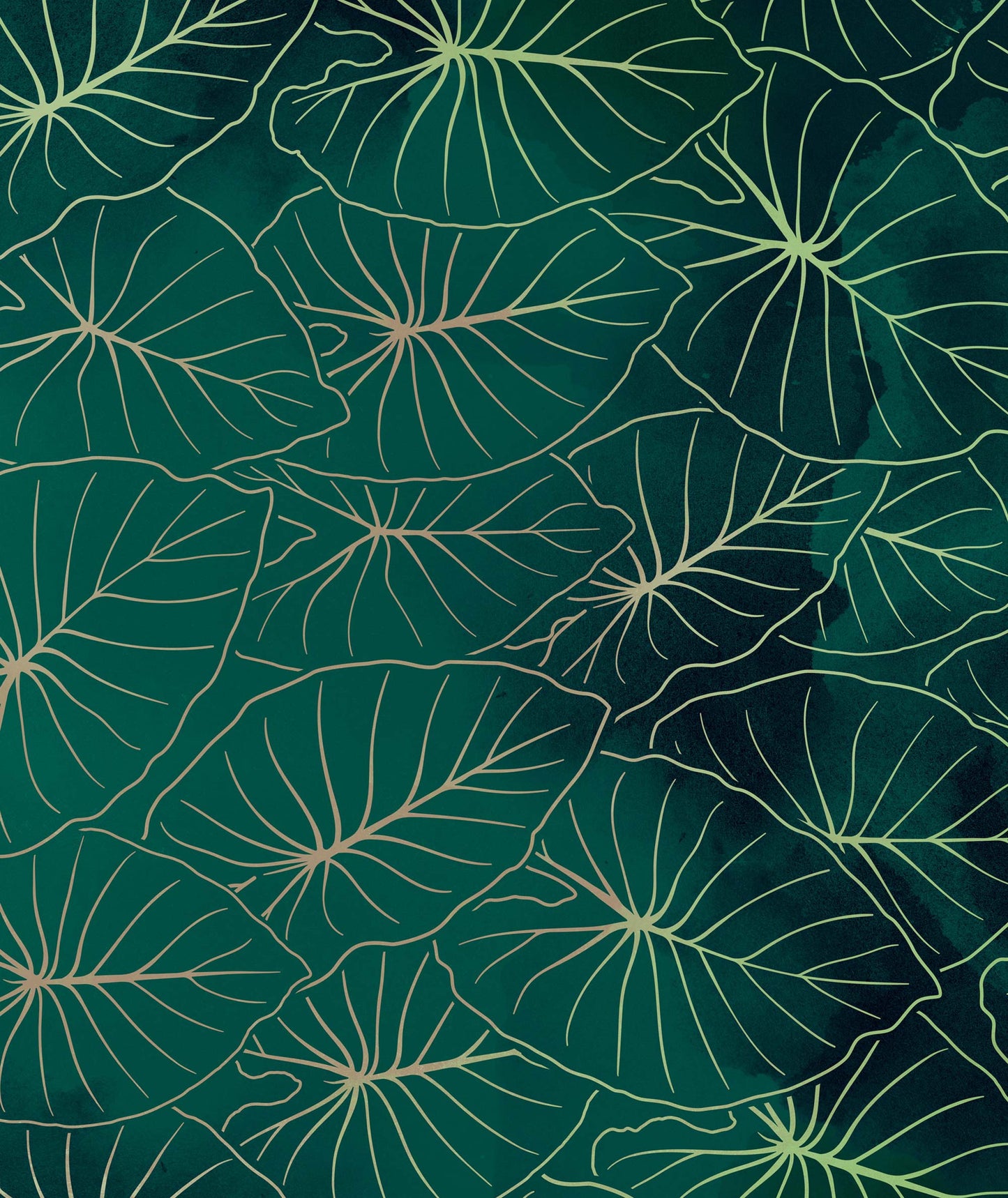 Kalo Pareo - Green