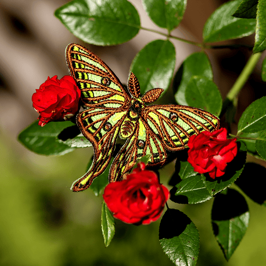 Spanish Moon Moth Iron-on Patch